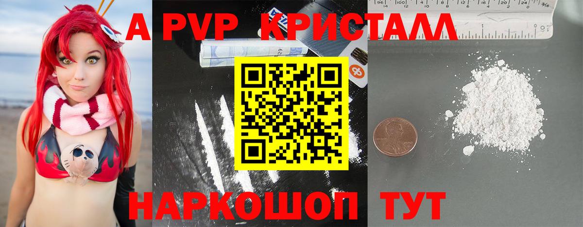 Шадринск  цены   Вход с VPN  Альфа ПВП СК КРИС  А ПВП СК КРИС 