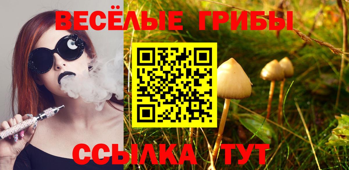 Псилоцибиновые грибы ЛСД  закладки  Галлюциногенные грибы прущие грибы  Шадринск  Вход с VPN 